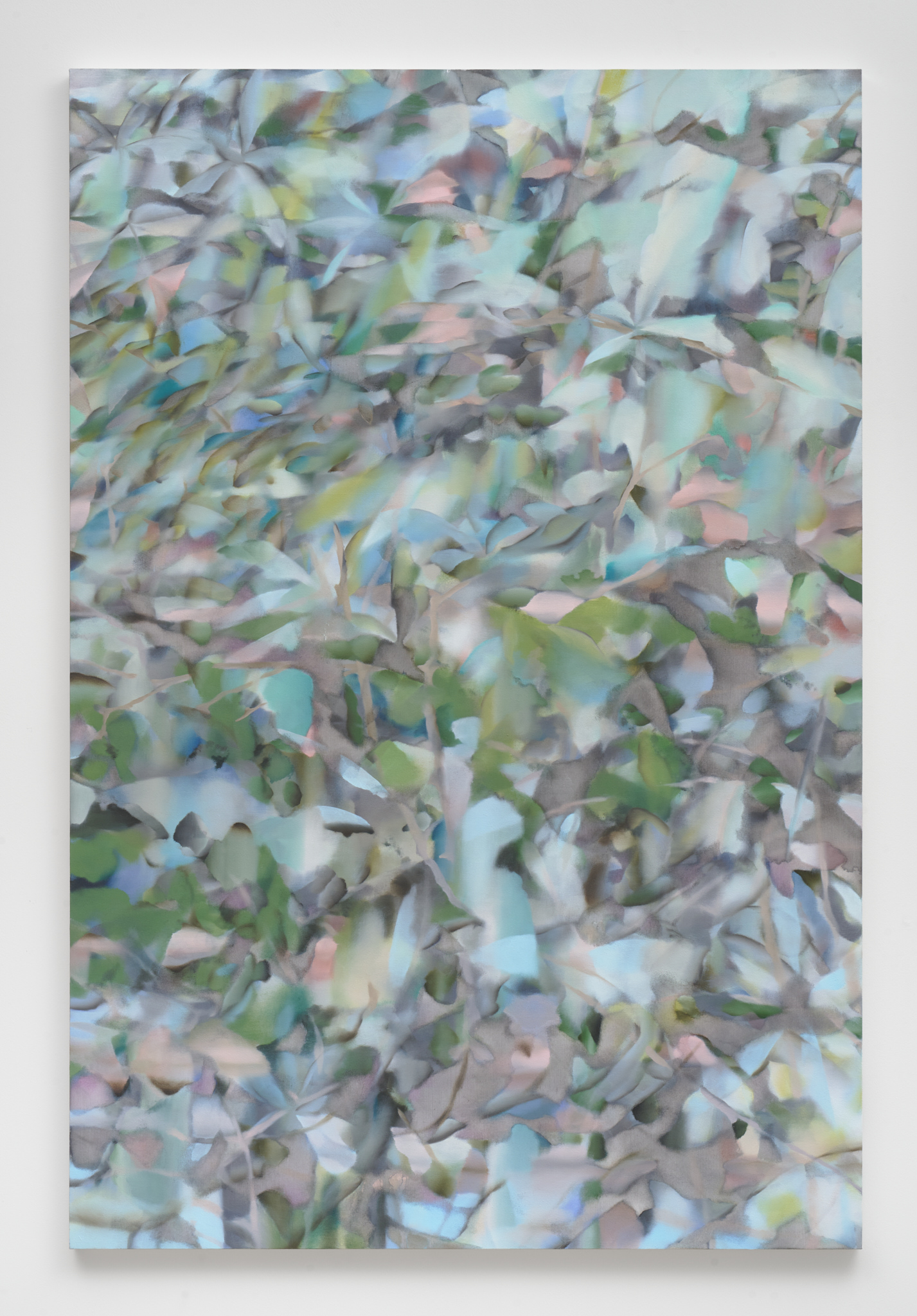 flamingo magnolia.jpg
